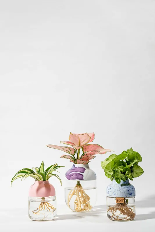 Projets publicitaires — photo 3