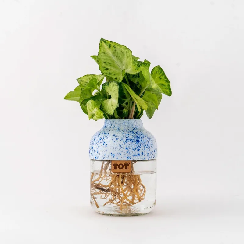 Projets publicitaires — photo 9